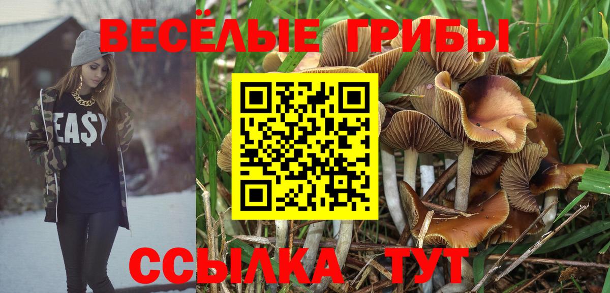 Псилоцибиновые грибы Cubensis  Псилоцибиновые грибы GOLDEN TEACHER  Ступино  Вход с VPN 